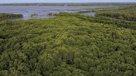 Diduga Rusak Mangrove Teluk Balikpapan, Proyek Smelter Disegel KLHK