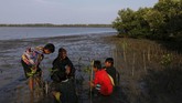 FOTO: Menyelamatkan Hutan Bakau Lewat Dongeng dan Boneka Samsudin (50), pria asal Indramayu, mendedikasikan hidupnya untuk turut serta melakukan konservasi hutan bakau atau mangrove lewat wayang dan mendongeng.