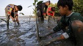 FOTO: Menyelamatkan Hutan Bakau Lewat Dongeng dan Boneka Samsudin (50), pria asal Indramayu, mendedikasikan hidupnya untuk turut serta melakukan konservasi hutan bakau atau mangrove lewat wayang dan mendongeng.