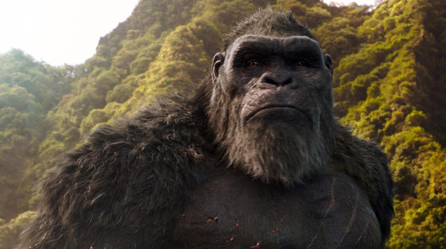Film - Godzilla vs Kong This image released by Warner Bros. Entertainment shows a scene from "Godzilla vs. Kong." (Warner Bros. Entertainment via AP)