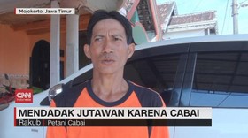 VIDEO: Mendadak Jutawan Karena Cabai