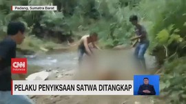 VIDEO: Pelaku Penyiksaan Satwa Monyet Simpai Ditangkap