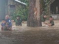 VIDEO: Banjir NTT Menewaskan 62 orang