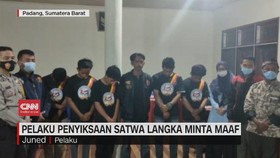 VIDEO: Pelaku Penyiksaan Satwa Langka Minta Maaf