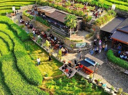 9 Cafe di Jogja dengan View Sawah, Cocok untuk Nongkrong dan Bersantai