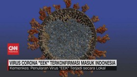 VIDEO: Virus Corona 'EEK' Terkonfirmasi Masuk Indonesia
