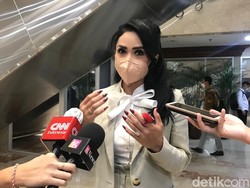Krisdayanti Kritik Satpol PP Patahkan Ukulele: Merusak Bukan Solusi!