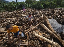 Banjir Bandang Meluluhlantakkan Pulau Adonara NTT