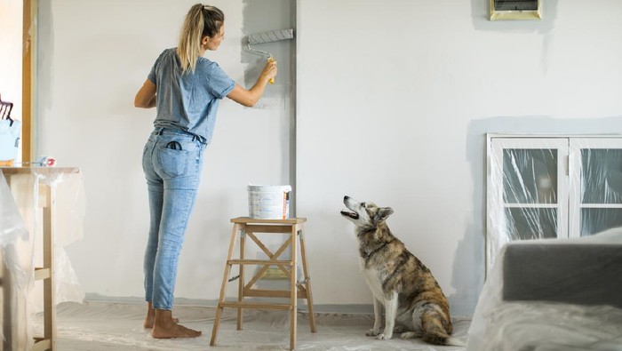 Woman painting with paint roller, she is dedicated and determined to finish her work right, dog is curious about what she doing