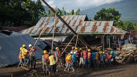 Polisi Tangkap Pengusaha Katrol Harga Bahan Bangunan di NTT