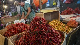 img-title Harga Cabai Makin 'Pedas' Awal Pekan Ini