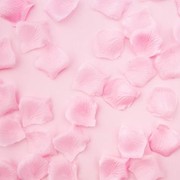 Alasan Mengapa Air Mawar Bagus untuk Kulit Wajah