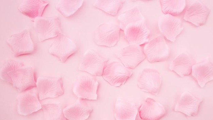Alasan Mengapa Air Mawar Bagus untuk Kulit Wajah
