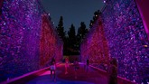 FOTO: Masuk Imajinasi Willy Wonka di Taman 'Sugar Rush' Taman hiburan ini memadukan konsep Burning Man dan rumah Willy Wonka. Tak hanya anak-anak, pengunjung dewasa juga dipersilakan masuk.