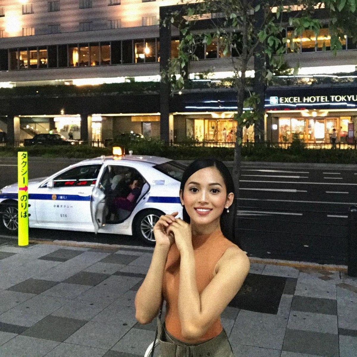 Finalis Miss Landscape International 2019 wakil Indonesia&comma; Era Setyowati melaporkan Prof Muradi Komisaris BUMN soal anak&period; Berikut sosok Era&excl;