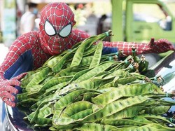 Kreatif! 5 Penjual Ini Punya Cara Unik Saat Jualan Petai