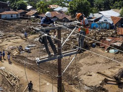 PLN Tebang Pohon-pohon yang Ganggu Jaringan Listrik NTT