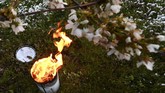 FOTO: Kala Kebun Anggur Dihangatkan Nyala Api Lilin Ratusan hingga ribuan lilin menyala di sekitar perkebunan anggur Prancis. Lilin dinyalakan untuk melindungi perkebunan dari ancaman dinginnya salju pekan ini.