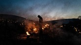 FOTO: Kala Kebun Anggur Dihangatkan Nyala Api Lilin Ratusan hingga ribuan lilin menyala di sekitar perkebunan anggur Prancis. Lilin dinyalakan untuk melindungi perkebunan dari ancaman dinginnya salju pekan ini.