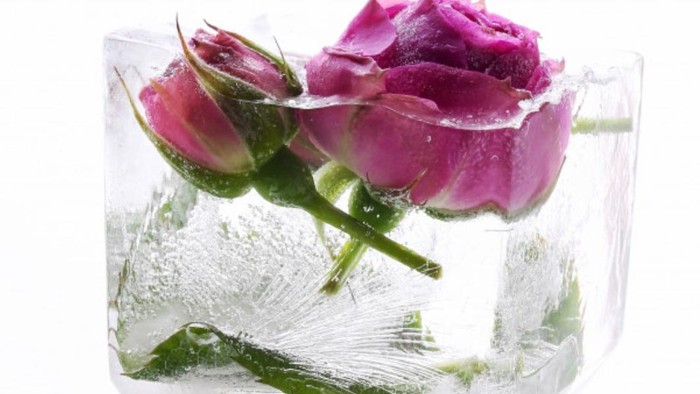 Rekomendasi Rose Toner dari Brand Korea, Cerahkan Wajah dan Hilangkan Keriput!