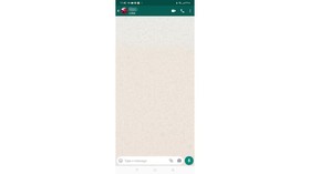 Pengguna Belum Bisa Hide Status Online, Ada Apa WhatsApp?
