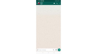 img-title WhatsApp Mulai Bisa Sembunyikan Status Online Bulan Ini