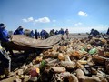 FOTO: Berjibaku Dengan Sampah Plastik di Danau Uru Uru