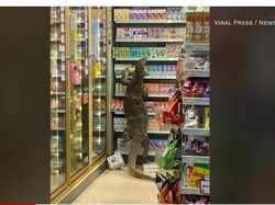 Biawak Raksasa Meneror Pembeli di 7-Eleven