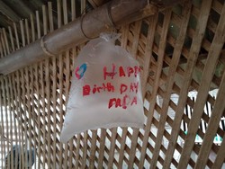 Tak Punya Uang, Bocah Ini Pakai Telur dan Kantong Plastik untuk Ultah Ayahnya