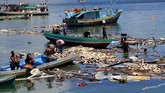 FOTO: Porak Poranda Kupang Dihantam Badai Seroja Kota Kupang, Nusa Tenggara Timur porak poranda dihantam siklon tropis badai seroja. Siklon tropis juga memicu banjir bandang di sejumlah wilayah di NTT.