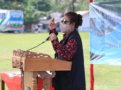 Cerita Susi Pudjiastuti soal Ikan Sidat yang Nyaris Punah