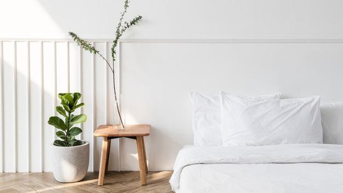 Bikin Tidur Makin Nyenyak, 5 Tanaman Ini Cocok Diletakkan di Kamar Tidur