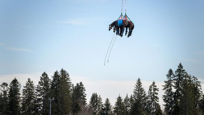 FOTO: Melihat Kuda Cidera Dievakuasi dengan Helikopter