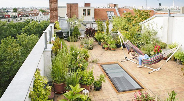 5 Tanaman Hias yang Pas untuk Rooftop Garden di Rumah Bunda Bunda punya lahan kosong di atap rumah? Daripada dibiarkan kosong, mending dibuat rooftop garden yang cantik. Berikut rekomendasi tanaman yang bisa dipilih.