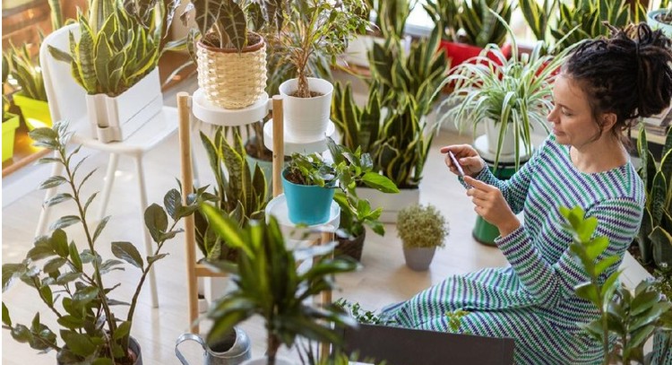 Bunda Punya Banyak Tanaman Hias? Ini 4 Tips agar Jadi Ladang Bisnis Sukses Cuan banget! Dari sekadar hobi, tanaman hias bisa jadi komiditi bisnis dengan omzet yang besar. Bunda mau juga? Simak tips berikut untuk memulainya, ya.