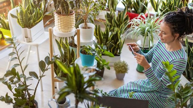 Do you have a lot of ornamental plants?  Here are 4 Tips to Become a Successful Business Field