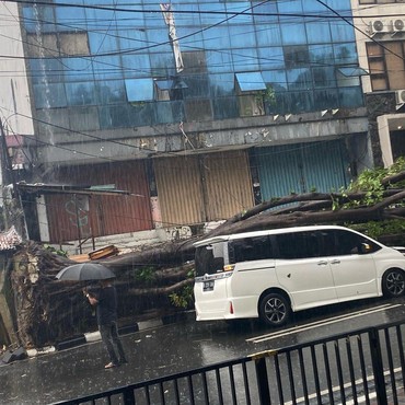 Eros Djarot Alami Musibah, Mobilnya Tertimpa Pohon Tumbang