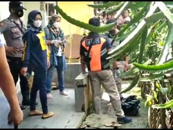 Terungkap! Pembuang Jasad Bayi di Tasikmalaya Tak Lain Ayah-Ibu Biologis