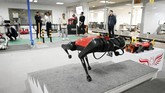 FOTO: Robot Anjing Peliharaan Bisa Diajak Jalan-jalan Perusahaan China berhasil membuat robot anjing peliharan dengan menggunakan teknologi kecerdasan buatan.