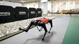 Gara-gara Taliban, Afghanistan Ditinggal Perempuan Ahli Robot