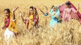 FOTO: Bhangra, Tarian Rakyat India Sambut Panen Raya Kaum Sikh menampilkan tarian tradisional rakyat Punjab, Bhangra, jelang panen raya Baisakhi yang menandakan awal tahun baru.