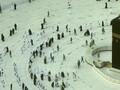 Arab Saudi Resmi Buka Pintu Umrah untuk Indonesia