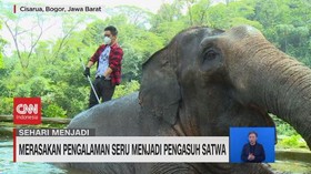 VIDEO: Sehari Menjadi ZOO KEEPER