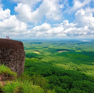 Begini Nasib Tiga 'Paus' Raksasa Berusia 75 Tahun di Hutan Thailand