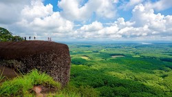 Begini Nasib Tiga 'Paus' Raksasa Berusia 75 Tahun di Hutan Thailand
