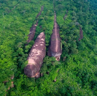 Fakta Tiga 'Paus' Raksasa di Hutan Thailand yang Berusia 75 Juta Tahun