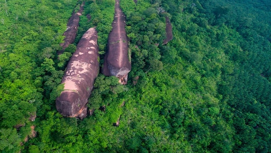 Three Whale Rock di Thailand