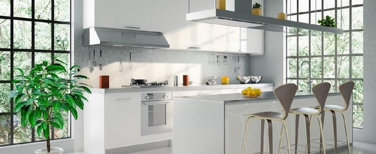 Tidak semua jenis tanaman hias bisa ditanam di dapur yang cenderung hangat dan kering. Namun bila tertarik, berikut rekomendasi tanamannya, ya, Bunda.