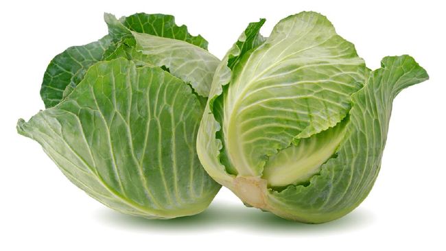 Easy Ways to Use Cabbage or Cabbage to Overcome and Relieve Swollen Breast Pain