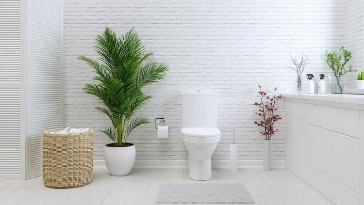 White Toilet Bowl In A Bathroom